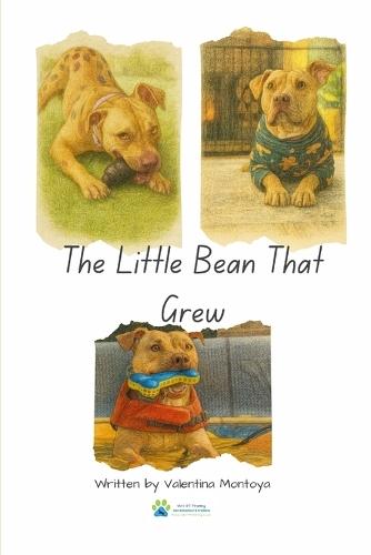 The Little Bean That Grew