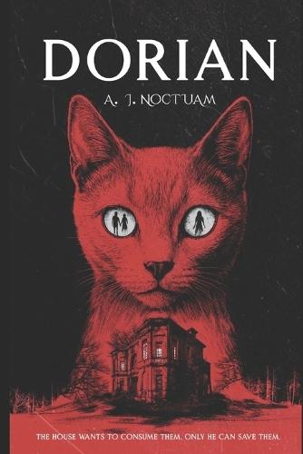 Dorian: The stray cat