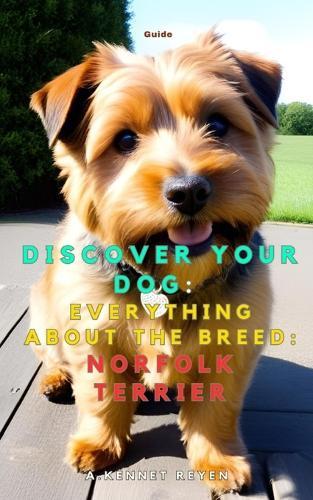 Scopri il tuo Cane: Tutto sulla razza: Norfolk Terrier