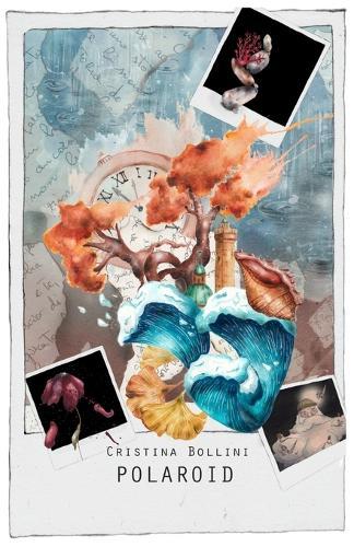 Polaroid: Microstorie in prosa poetica