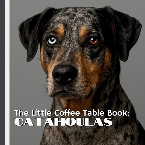The Little Coffee Table Book: Catahoulas: 75 fascinating facts paired with striking full-page photography, this book explores the breed's rich Louisiana heritage, powerful instincts, and captivating appearance.