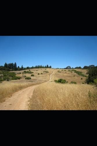 José da escravidão ao Governo