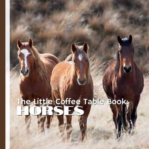 The Little Coffee Table Book: Horses: A captivating journey through the world of horses-one fascinating fact at a time.