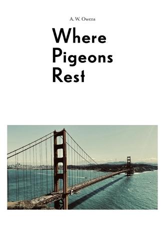 Where Pigeons Rest