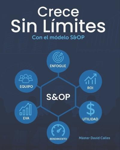 Crece Sin Límites con el Modelo S&OP: Modelo S&OP