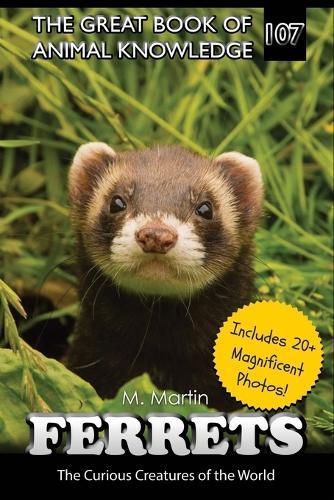 Ferrets: The Curious Creatures of the World