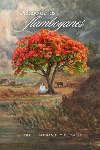 Debajo de los flamboyanes