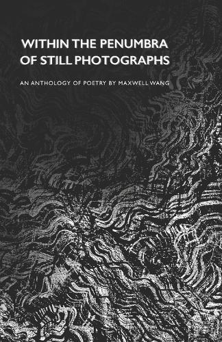 Within the Penumbra of Still Photographs