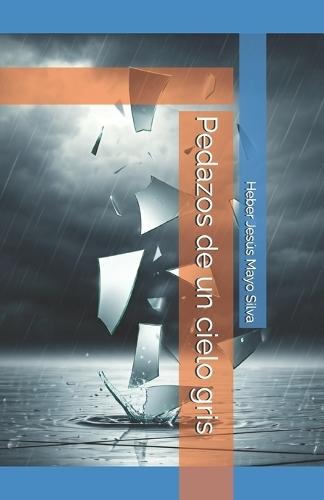 Pedazos de un cielo gris