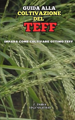 Guida alla Coltivazione del Teff