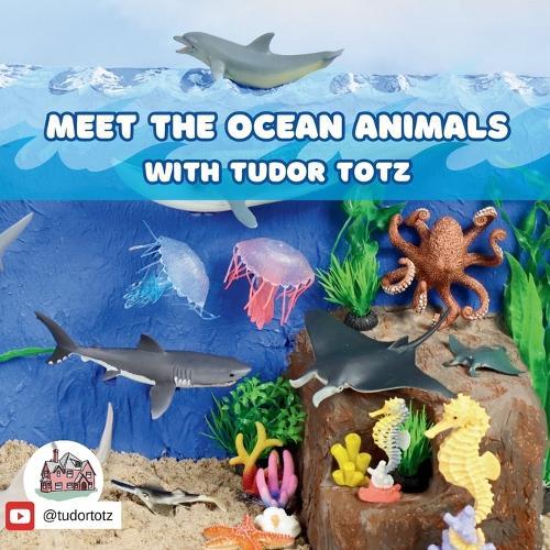 Meet the Ocean Animals with Tudor Totz