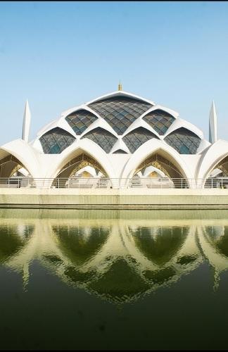 Slow Money, Fast Freedom: Dividend Strategies for Everyday Investors