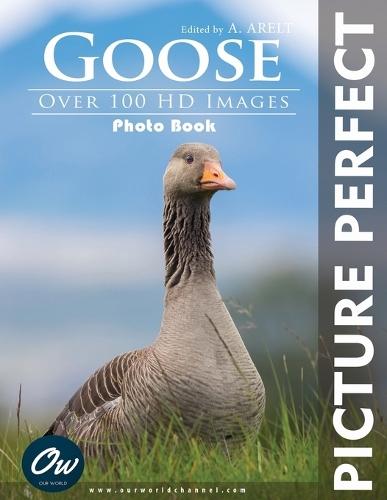 Goose: Picture Perfect Photo Book