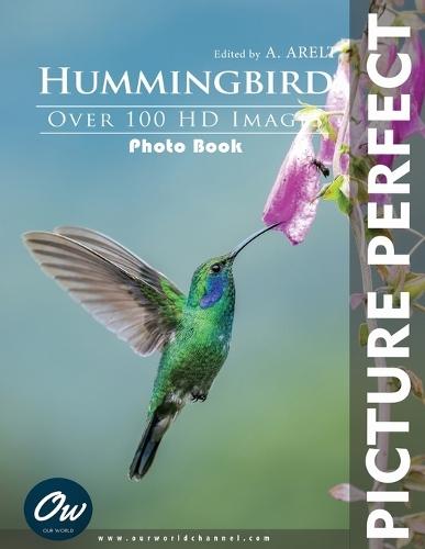 Hummingbird: Picture Perfect Photo Book