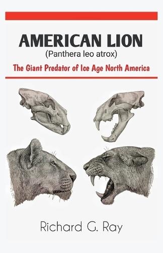 AMERICAN LION (Panthera leo atrox): The Giant Predator of Ice Age North America