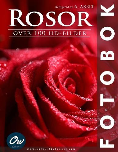 Rosor: Över 100 HD-bilder