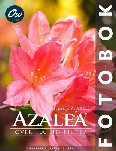 Azalea: Över 100 HD-bilder