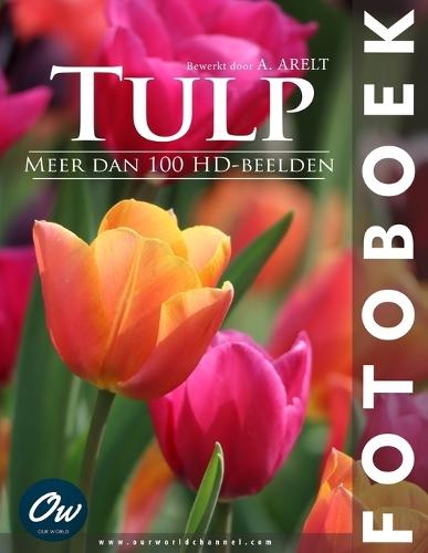 Tulp
