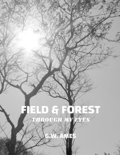 Field & Forest: Through My Eyes