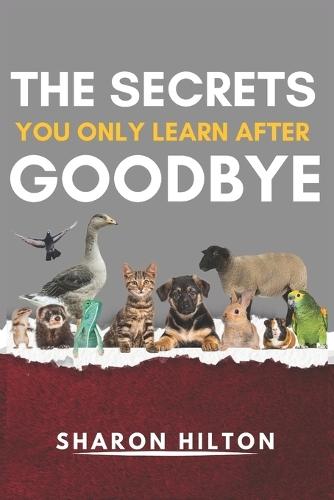 The Secrets You Only Learn After Goodbye