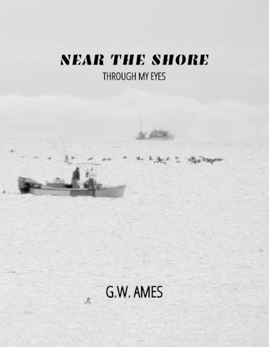 Near the Shore: Through My Eyes