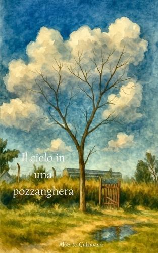 Il cielo in una pozzanghera