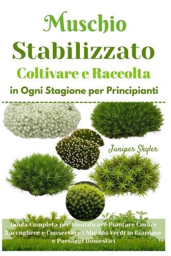 Muschio Stabilizzato Coltivare e Raccolta in Ogni Stagione per Principianti: Guida Completa per Identificare Piantare Curare Raccogliere e Conservare i Muschi Verdi in Giardino e Paesaggi Domestici