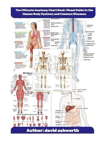 The Ultimate Anatomy Chart Book: Visual Guide to the Human Body Systems and Common Disease