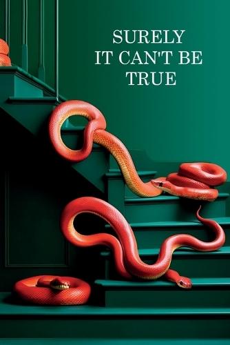 Surely it can't be true: becoming an entrepreneur ] real life drama ] fighting the odds ] strategy of buying a business ]business ] emotional business story ] a story of courage ] surviving the odds ] real life business ] entrepreneurship;