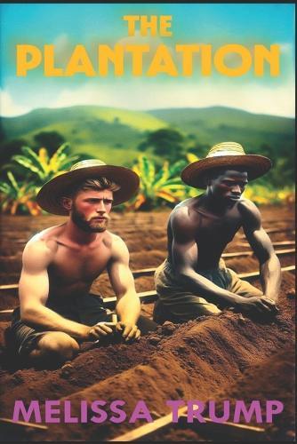 The Plantation: Slavery historical fiction - gay romance