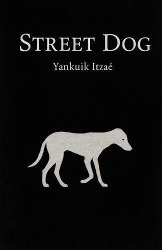 Street Dog