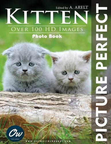 Kitten: Picture Perfect Photo Book