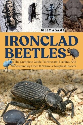 Ironclad Beetles: The Complete Guide To Housing, Feeding, And Understanding One Of Nature's Toughest Insects