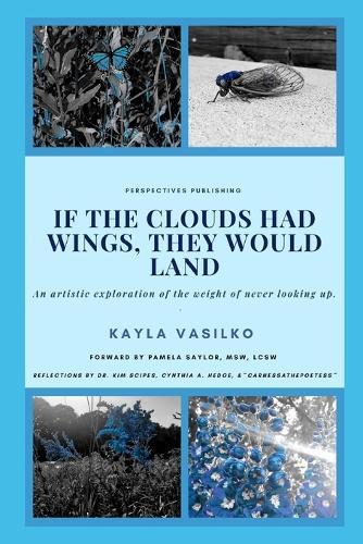 If the Clouds had Wings, They Would Land