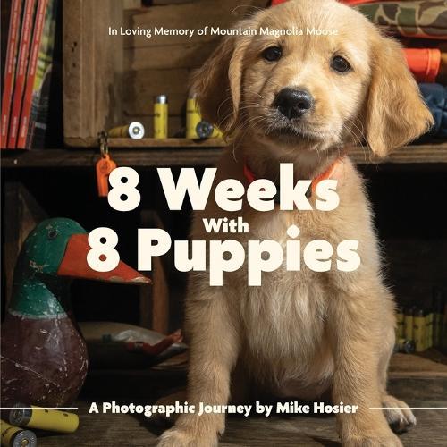 8 Weeks with 8 Puppies: A Photographic Journey by Mike Hosier