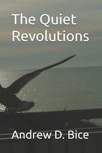 The Quiet Revolutions
