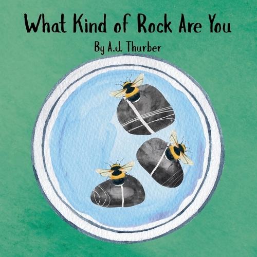 What Kind of Rock Are You: A children's book celebrating individuality and self-reflection.