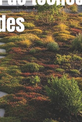 Instalación de Techos Verdes