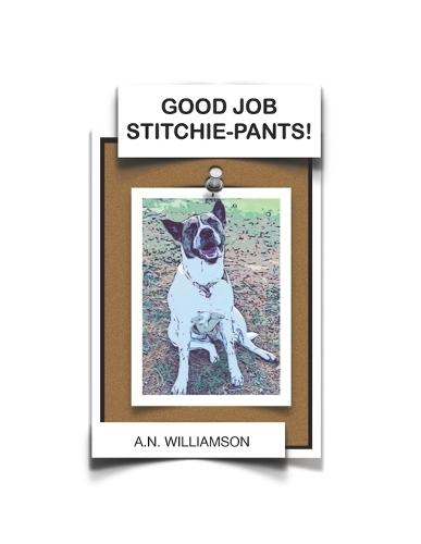 Good Job Stitchie-Pants!