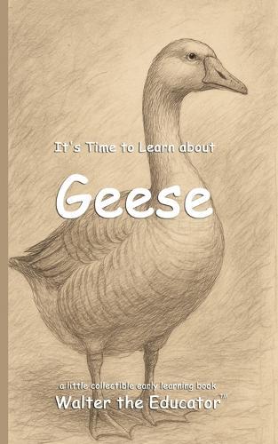 It's Time to Learn about Geese