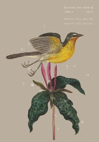 沿着流过的河水