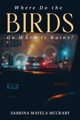Where Do the Birds Go When It Rains?