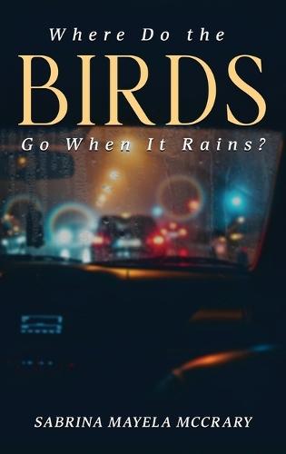 Where Do the Birds Go When It Rains?