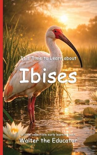 It's Time to Learn about Ibises
