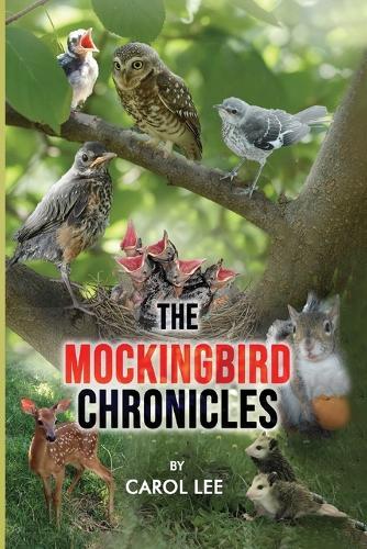 The Mockingbird Chronicles: The Early Days of a Wildlife Rehabilitation Center