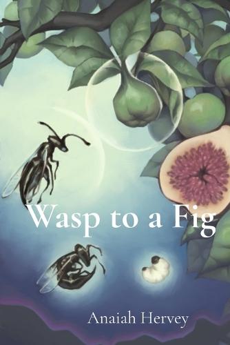 Wasp to a Fig