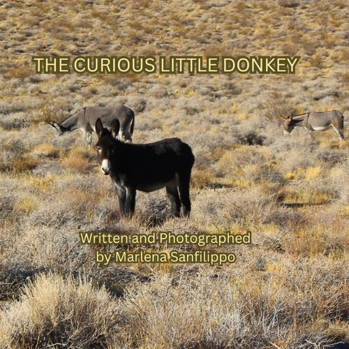 The Curious Little Donkey: Adventure is around every corner. Don't be afraid to explore