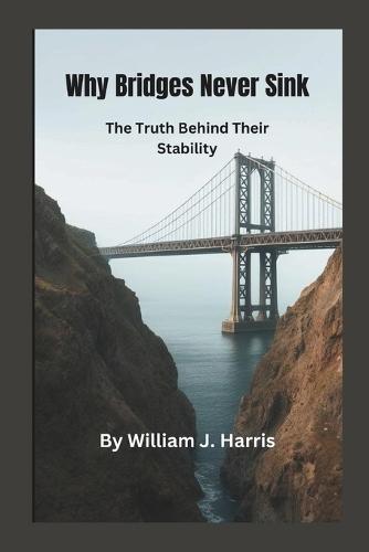 Why Bridges Never Sink: The Truth Behind Their Stability