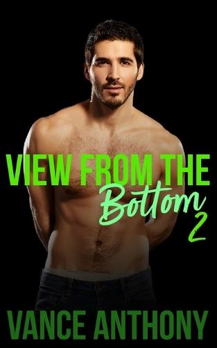 View From the Bottom 2: A Bundle of Gay Erotic Shorts