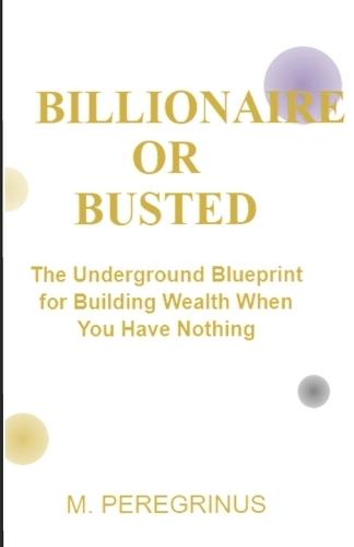 Billionaire or busted: The Underground Blueprint for Building Wealth When You Have Nothing